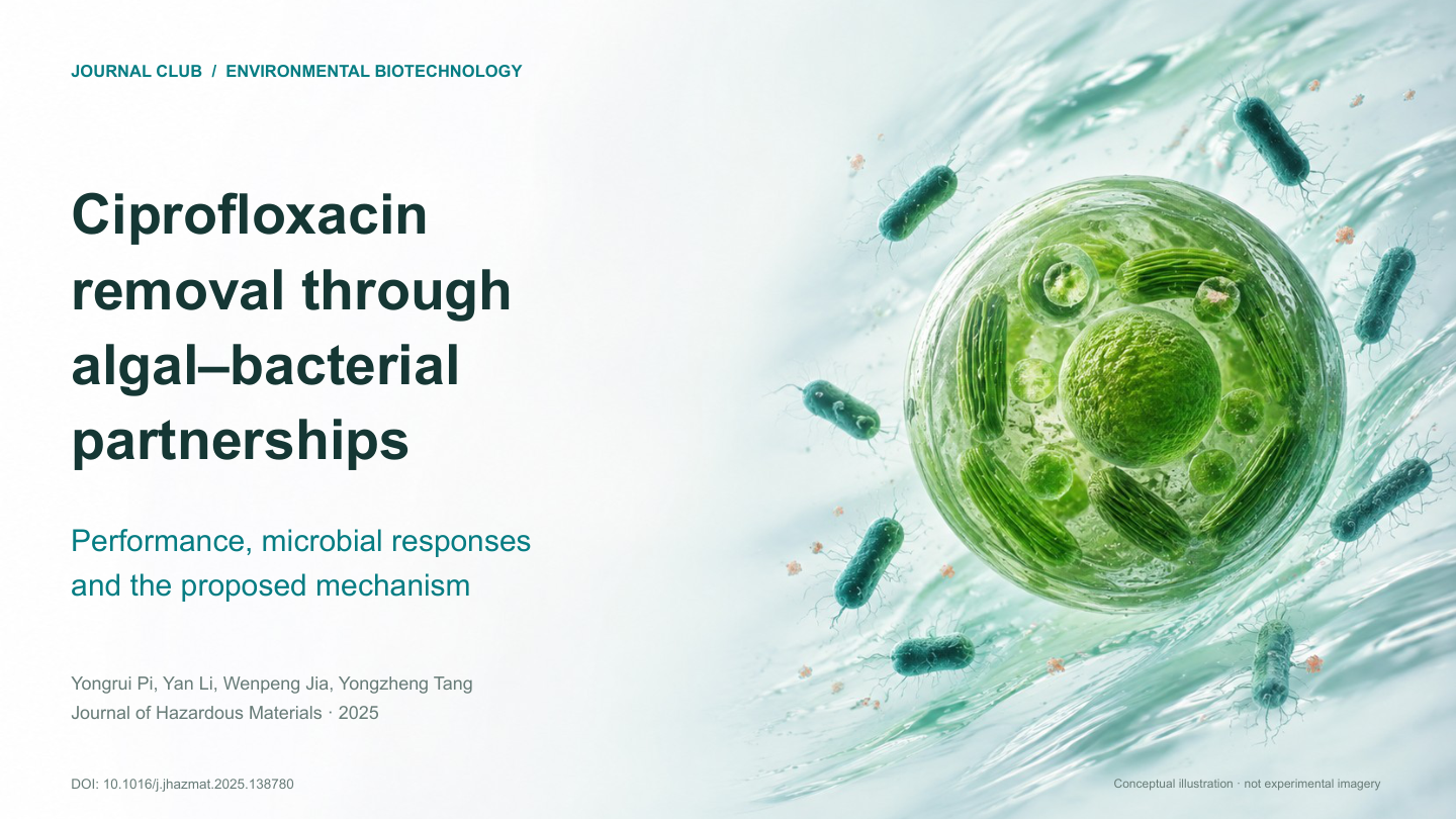 Cover slide from the revised ten-slide research presentation